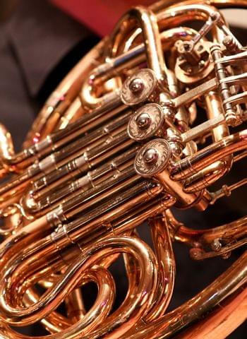 Horn