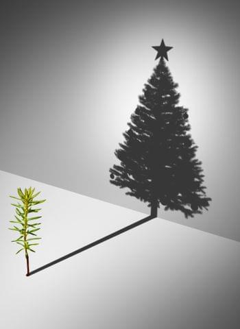 Kurioses zu Weihnachten