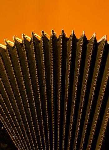 prima la musica Ergebnisse 2024 MusikumPJKIII260111106.jpg