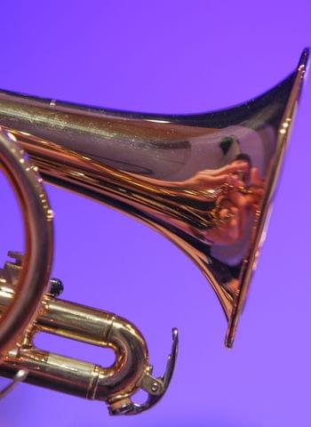 Tenorhorn / Euphonium
