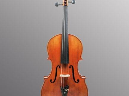Viola