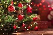 Weihnachtskonzert Klavier, Klasse: Anneliese Schneider