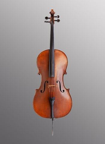 Violoncello
