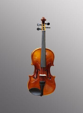 Violine